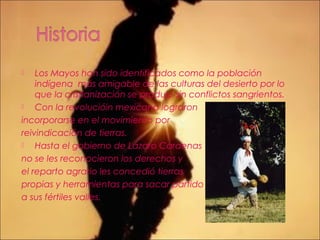  Los Mayos han sido identificados como la población
indígena más amigable de las culturas del desierto por lo
que la cristianización se produjo sin conflictos sangrientos.
 Con la revolucióin mexicana lograron
incorporarse en el movimiento por
reivindicación de tierras.
 Hasta el gobierno de Lázaro Cardenas
no se les reconocieron los derechos y
el reparto agrario les concedió tierras
propias y herramientas para sacar partido
a sus fértiles valles.
 