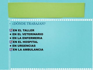¿DÓNDE TRABAJAN? EN EL TALLER EN EL VETERINARIO EN LA ENFERMERIA EN EL HOSPITAL EN URGENCIAS EN LA AMBULANCIA 