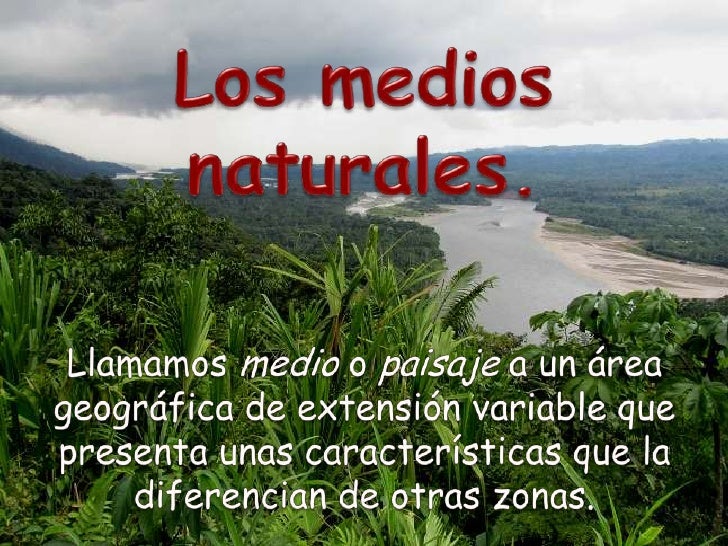 Las vitaminas del refuerzo de los cabello comprar en