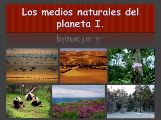 Los medios naturales del planeta (I)