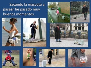 Sacando la mascota a
pasear he pasado muy
buenos momentos.
 
