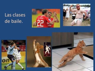 Las clases
de baile.
 