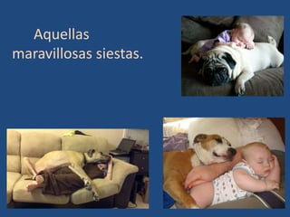 Aquellas
maravillosas siestas.
 