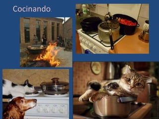 Cocinando.
 