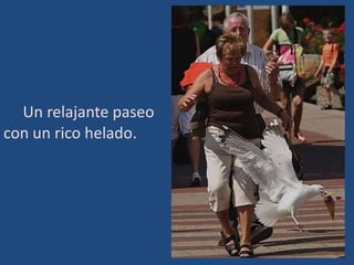 Un relajante paseo
con un rico helado.
 