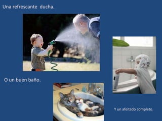 Una refrescante ducha.




O un buen baño.




                         Y un afeitado completo.
 