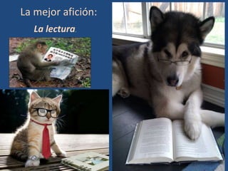 La mejor afición:
  La lectura.
 