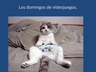 Los domingos de videojuegos.
 