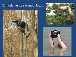 Cómodamente sacando fotos.
 