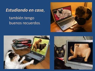Estudiando en casa,
 también tengo
 buenos recuerdos.
 