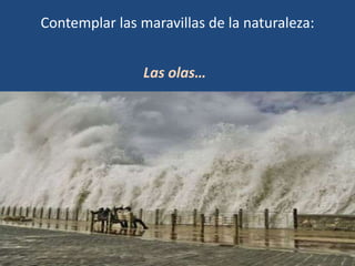 Contemplar las maravillas de la naturaleza:


                Las olas…
 