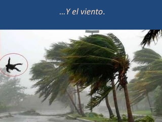 …Y el viento.
 