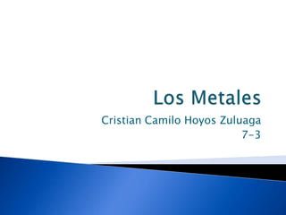 Cristian Camilo Hoyos Zuluaga
                          7-3
 
