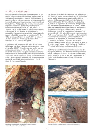 Vista aérea de los yacimientos de estaño “Casualidad” en Calabor (Zamora) y
“Montesinhos” en Portugal (al fondo).
18
ESTAÑO Y WOLFRAMIO
Estos dos metales suelen aparecer siempre juntos en los
mismos yacimientos minerales, aunque la explotación de
ambos simultáneamente pocas veces resulta rentable. La
mayoría de los yacimientos europeos se encuentran en los
terrenos hercínicos del borde oeste del continente (Reino
Unido, Francia, Portugal, España) constituyendo una gran
región metalogenética. En Castilla y León aparecen
esencialmente en las provincias de León, Zamora y
Salamanca, y en menor medida en las de Ávila y Segovia,
y constituyen el 25% del total de las minas de la
Comunidad. Han sido explotados desde antiguo, pero de
manera industrial la producción se centró entre 1942 y
1986, con una producción de unas 9.000 t de estaño, el
3% de la producción nacional, y otras 9.000 t de
wolframio, el 24% del total de España.
El yacimiento más importante es la mina de Los Santos
(Salamanca) que tiene calculadas unas reservas de 2,5 Mt
con una ley del 0,6% de wolframio, que con los precios
actuales supondrían unos 120 M . Se trata de un
yacimiento de scheelita que aparece diseminada en unos
niveles de calizas, transformados por fluidos hidrotermales
asociados a la formación de un granito (yacimiento de tipo
skarn). De una tipología semejante son los yacimientos del
Distrito de Morille-Martinamor en Salamanca y el de
Otero de Herreros en Segovia.
Bocamina de acceso a una de las galerías de la mina de estaño y
wolframio Peña do Seo en Corullón (León).
Mina de wolframio Coto Merladet en Barruecopardo (Salamanca).
No obstante la tipología de yacimiento más habitual son
los filones de cuarzo, bien con casiterita, con wolframita o
con scheelita. A este tipo corresponden los distritos
mineros de Barruecopardo-La Fregeneda, Masueco-
Valderrodrigo, Villar del Ciervo-Bañobarez, Guijuelo y
Navasfrías en la provincia de Salamanca, la Virgen de la
Encina y Peña do Seo en León o las de Zafara, Calabor,
Ricobayo y Villaseco-Pereruela en Zamora. La mina más
importante de este tipo se localizaba en Golpejas
(Salamanca) y en ella se explotó un yacimiento de 5 Mt
con una ley de 1.500 gSn/t. Otras minas importantes son:
Feli en La Fregeneda, Coto Merladet en Barruecopardo,
Mari Tere en Lumbrales y Dominica en Pizarral de
Salvatierra en la provincia de Salamanca; las minas
Casualidad en Calabor, Santa Elisa en Arcillera,
Dorinda en Carbajosa o Rosario en Cerezal de Aliste en
la provincia de Zamora; y Peña do Seo en Corullón y
Virgen de la Encina en Ponferrada en la de León.
Se han explotado también yacimientos secundarios de
tipo placer, formados por desmantelamiento por erosión
de los yacimientos filonianos y posterior sedimentación
por la acción de los ríos. A este tipo corresponden las
zonas mineras de Puebla de Azaba y El Cubito en
Salamanca.
 