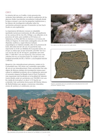 20
ORO
La minería del oro en Castilla y León presenta dos
vertientes bien definidas, por un lado la explotación de los
placeres fósiles (yacimientos secundarios) realizada desde
la época romana y por otra las pequeñas explotaciones y
las labores de investigación realizadas sobre los
yacimientos primarios que por el momento no han fructi-
ficado en una explotación.
La importancia del laboreo romano es indudable
quedando numerosos testimonios de ello, principalmente
en las cuencas de los ríos Sil y Órbigo y sus afluentes en la
provincia de León, pero también en El Cabaco en
Salamanca, en Pino del Oro en Zamora y en Cerezo de
Arriba en Segovia. En total están catalogados cerca de 400
depósitos auríferos y según diversos trabajos
arqueológicos se habrían extraído, sólo en la provincia de
León, del orden de 60 t de oro. El yacimiento más
importante es el de Las Médulas de Carucedo (León), en
el que se estima que se han removido 228 Mm³ de roca
con una ley de oro de 50 mg/m³, quedando aún entre
800 y 1.000 Mm³ con esa misma ley. Para remover este
volumen de roca se trazaron hasta 16 canales con una
longitud promedio de 80 a 100 km y una longitud total de
1.440 km.
Respecto a las mineralizaciones primarias, existen en la
Comunidad unas 100 minas con contenidos apreciables
de oro en sus mineralizaciones. Estos yacimientos han sido
objeto de diversos trabajos de investigación minera para
valorar la viabilidad económica de su explotación, pero por
el momento ninguno ha llegado hasta el final. El proyecto
más importante está localizado en la localidad de Salamón
(León) donde existe un yacimiento con 760.000 t con una
ley media de 6,64 gAu/t, es decir 5.135 kg de oro
contenido. Este yacimiento forma parte del Distrito Minero
de Riaño-Estalaya que agrupa a numerosas mineraliza-
ciones de arsénico y/o antimonio con oro.
Vista panorámica del yacimiento de oro romano de Las Médulas en Carucedo (León).
Oro nativo en un filón de cuarzo de Candín (León).
Aspecto característico de la roca portadora de la mineralización de oro del
yacimiento Salamón (León).
 