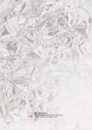Más información en:
www.siemcalsa.com (apartado publicaciones)
 Libro: La Minería en Castilla y León
 