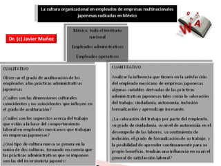 Dr. (c) Javier Muñoz
 