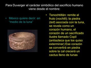 Para Duverger el carácter simbólico del sacrificio humano
viene desde el nombre:
• México quiere decir: en
“medio de la luna”
• Tenochtitlán: remite al
fruto (nochtli); la piedra
(tetl) asociada con la tuna,
se revela como un
corazón humano, el
corazón de un sacrificado
ilustre llamado Copil
(antiazteca que los quiso
exterminar) Ese corazón
se convertirá en piedra
sobre la cal crecerá un
cactus lleno de tunas
 