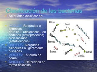 Clasificación de las bacterias
• Se pueden clasificar en:

• COCOS: Redondas o
    esféricas
    de 2 en 2 (diplococos), en
    cadenas (estreptococos)
    o en racimos
    (estafilococos).
•   BACILOS: Alargadas
    cilíndricas o ligeramente
    curvadas.
•   VIBRIOS: En forma de
    coma.
•   SPIRILOS: Retorcidos en
    forma helicoidal
 