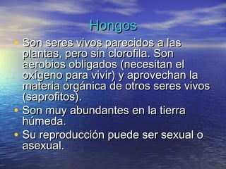 Hongos
• Son seres vivos parecidos a las
    plantas, pero sin clorofila. Son
    aerobios obligados (necesitan el
    oxígeno para vivir) y aprovechan la
    materia orgánica de otros seres vivos
    (saprofitos).
•   Son muy abundantes en la tierra
    húmeda.
•   Su reproducción puede ser sexual o
    asexual.
 