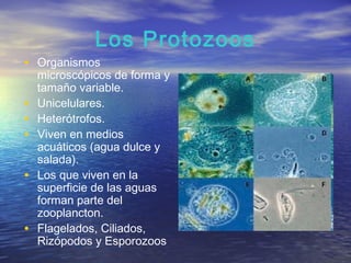 Los Protozoos
• Organismos
    microscópicos de forma y
    tamaño variable.
•   Unicelulares.
•   Heterótrofos.
•   Viven en medios
    acuáticos (agua dulce y
    salada).
•   Los que viven en la
    superficie de las aguas
    forman parte del
    zooplancton.
•   Flagelados, Ciliados,
    Rizópodos y Esporozoos
 