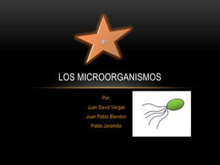LOS MICROORGANISMOS
            Por:
     Juan David Vargas
     Juan Pablo Blandon
       Pablo Jaramillo
 