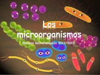 Los
microorganismos
 Ensayos microbiológicos 2012/2013
 