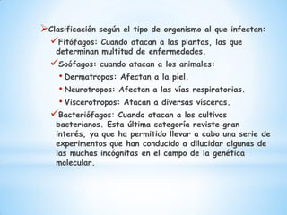 Clasificación según el tipo de organismo al que infectan:
 Fitófagos: Cuando atacan a las plantas, las que
    determina...
