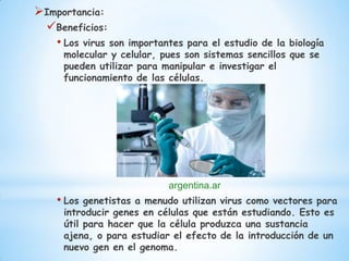Importancia:
 Beneficios:
   • Los virus son importantes para el estudio de la biología
     molecular y celular, pues s...