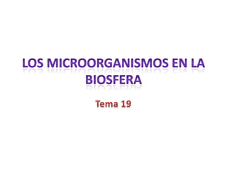 Los microorganismos en la biosfera Tema 19 