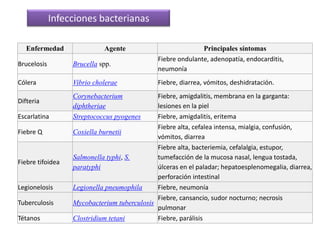 Agentes patógenosRobert Koch (1843-1910) fue uno de los más importantes bacteriólogos de todos los tiemposDescubrioel bacilo de la tuberculosis y el bacilo del cólera y es considerado el fundador de la bacteriología. Trabajó en el aislamiento de agentes infecciosos y reinfecciones a partir de cultivos puros, experiencias a partir de las cuales estableció los “Postulados de Koch”.1- El agente debe estar presente en cada caso de la enfermedad y ausente en los sanos.2- El agente no debe aparecer en otras enfermedades.3- El agente ha de ser aislado en un cultivo puro a partir de las lesiones de la enfermedad.4- El agente ha de provocar la enfermedad en un animal susceptible de ser inoculado.5- El agente ha de ser aislado de nuevo en las lesiones de los animales en experimentación.Bacilo de koch