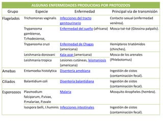 Infecciones bacterianas