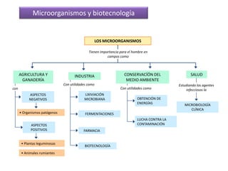 Candidiasis 