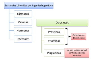 Infecciones víricas