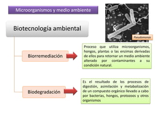 Tienen importancia para el hombre en campos comoCONSERVACÍÓN DEL MEDIO AMBIENTESALUDINDUSTRIACon utilidades comoEstudiando los agentes infecciosos laCon utilidades comoconMicroorganismos y biotecnologíaLOSMICROORGANISMOSAGRICULTURA Y GANADERÍALIXIVIACIÓN MICROBIANAASPECTOS NEGATIVOSOBTENCIÓN DE ENERGÍASMICROBIOLOGÍA CLÍNICA Organismos patógenosFERMENTACIONESLUCHA CONTRA LA CONTAMINACIÓNASPECTOS POSITIVOSFARMACIA Plantas leguminosasBIOTECNOLOGÍA Animales rumiantesUn microorganismo para ser útil en procesos biotecnológicos debe tener las siguientes características:Crecer rápidamentePoder ser cultivado a gran escalaProducir sustancias útiles Hacerlo en poco tiempoPRODUCTOS DE LAS CÉLULASAlcoholEnzimasAntibióticosProductos químicosAditivos alimenticios