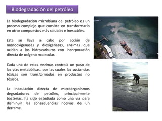 Industria alimentariaSon procesos de fermentación, que pueden ser:Fermentación anoxidativa.- Sin aireación 