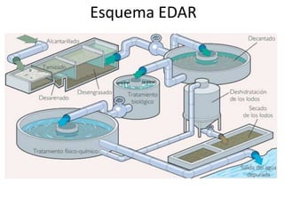 La fermentación alcohólicaMediante este tipo de proceso se forman productos como vino, pan o cerveza.Producción de vinoSaccharomycesCerevisiae
