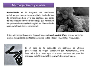 Su producción ha aumentado mucho con los métodos de ingeniería genética.