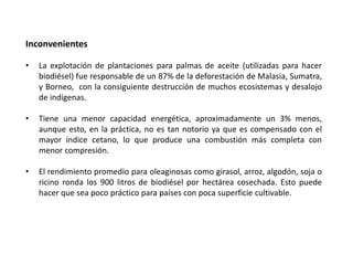 Biodegradación del petróleoLa biodegradación microbiana del petróleo es un proceso complejo que consiste en transformarlo en otros compuestos más solubles e inestables. Esta se lleva a cabo por acción de monooxigenasas y dioxigenasas, enzimas que oxidan a los hidrocarburos con incorporación directa de oxígeno molecular. Cada una de estas enzimas controla un paso de las vías metabólicas, por las cuales las sustancias tóxicas son transformadas en productos no tóxicos.La inoculación directa de microorganismos degradadores de petróleo, principalmente bacterias, ha sido estudiada como una vía para disminuir las consecuencias nocivas de un derrame. 