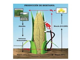 Agua residualDesbasteDesarenado desengrasadoDepósitos de laminaciónDecantación primariaDigestiónTratamiento secundario: Fangos activos o lechos bacterianosFangosEspesamiento DeshidrataciónMetanoAl vertedero, incineradora, compostajeDecantación secundariaProducción de energíaTratamiento de afino filtración, desinfecciónReceptor natural