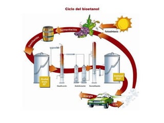 Fermentación de la materia orgánica en una E.D.A.R.