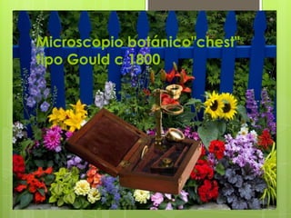 Microscopio botánico"chest"
tipo Gould c 1800

 