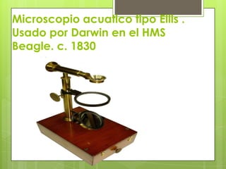 Microscopio acuatico tipo Ellis .
Usado por Darwin en el HMS
Beagle. c. 1830

 