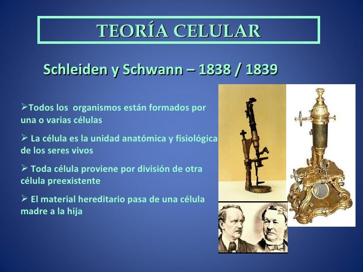 A Teoria Celular Proposta Por Schleiden E Schwann Afirma Que