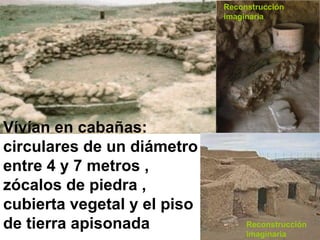 Vívían en cabañas: circulares de un diámetro entre 4 y 7 metros , zócalos de piedra , cubierta vegetal y el piso de tierra apisonada Reconstrucción imaginaria Reconstrucción imaginaria 