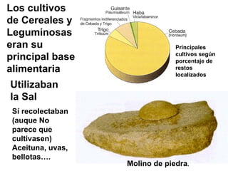 Los cultivos de Cereales y Leguminosas eran su principal base alimentaria Principales cultivos según porcentaje de restos localizados Molino de piedra . Utilizaban la Sal   Sí recolectaban (auque No parece que cultivasen)   Aceituna, uvas, bellotas…. 