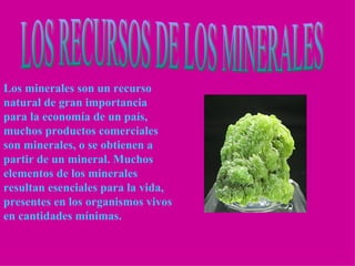 Los minerales son un recurso natural de gran importancia para la economía de un país, muchos productos comerciales son minerales, o se obtienen a partir de un mineral. Muchos elementos de los minerales resultan esenciales para la vida, presentes en los organismos vivos en cantidades mínimas.   LOS RECURSOS DE LOS MINERALES 
