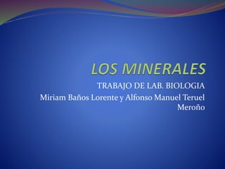 TRABAJO DE LAB. BIOLOGIA
Miriam Baños Lorente y Alfonso Manuel Teruel
Meroño
 