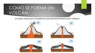 COMO SE FORMA UN
VOLCÁN
Un volcán se forma por una grieta de la que sale lava formando el cono volcánico
1º2º
3º4º
 