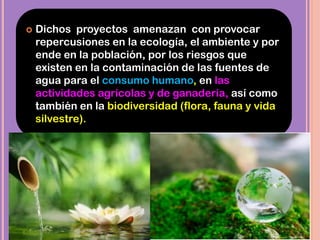  Dichos proyectos amenazan con provocar
repercusiones en la ecología, el ambiente y por
ende en la población, por los riesgos que
existen en la contaminación de las fuentes de
agua para el consumo humano, en las
actividades agrícolas y de ganadería, así como
también en la biodiversidad (flora, fauna y vida
silvestre).
 